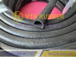Ron cao su xốp EPDM chữ D 18x16x2.5